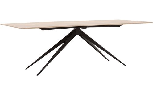 Goossens Excellent Eettafel Ferris, Rechthoekig 260 x 100 cm