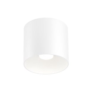 Ray 1.0 GU10 Plafondlamp