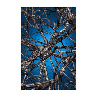 Liquid Birch Vloerkleed