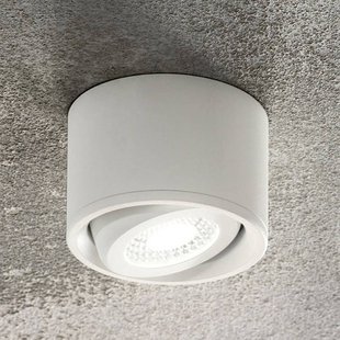 Fabas Luce Kantelbare kop - LED downlight Anzio, wit