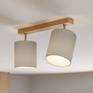 BRITOP Plafondspot Corralee, grijs, 2-lamps