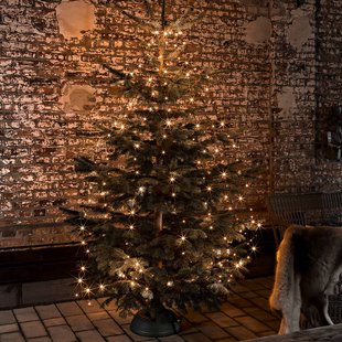 Konstsmide Christmas LED lichtketting met 8 strengen