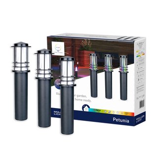 Müller Licht tint Petunia LED tuinpadverlichting set van 3