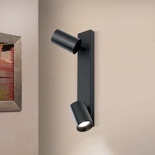 ORION Spot Sean 2-lamps, zwart