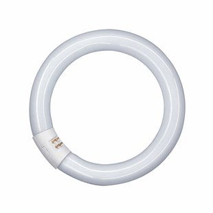 OSRAM G10q 22W 865 Lumilux T9C ringvormige tl-lamp