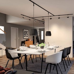 Paulmann URail Spot Blossom zwart, gesatineerd glas