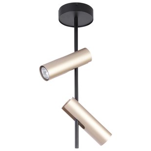SIGMA Plafondspot Leda 2, 2-lamps, zwart-goud