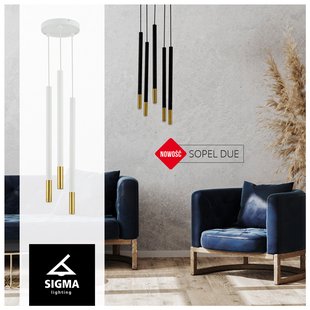 SIGMA Hanglamp Sopel Due 5, zwart/goud, 5-lamps.