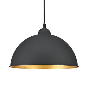 Trio Lighting Jimmy hanglamp voor DUOline, zwart-goud, E27