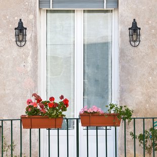 Westinghouse Crestview buitenwandlamp, kooi