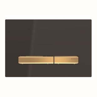 Bedieningsplaat Geberit Sigma 50 voor 2-toets Spoeling Messing Goud / Zwart