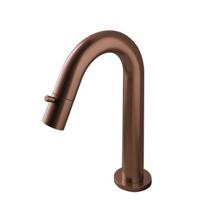 Fonteinkraan Hotbath Cobber 1-knop gebogen 19.3 cm Rond Geborsteld Koper PVD