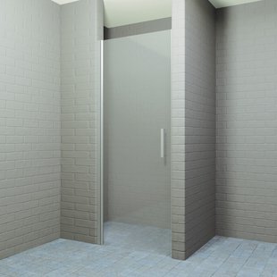 Douchedeur BWS Ironside 90x200 cm Draaideur 8mm Veiligheidsglas RVS Look Douchedeur BWS Ironside 90x200 cm Draaideur 8mm Veiligheidsglas RVS Look