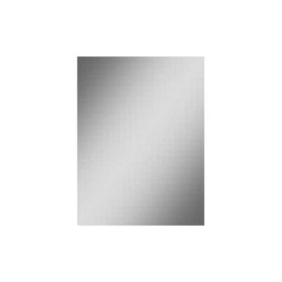 BWS Basis Spiegel Rechthoek 50x40 cm 5mm Aluminium