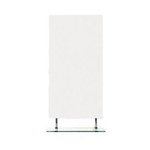 Badkamerspiegel Sapho Wega 50x80 cm met Planchet Glas