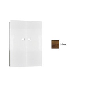 Kolomkast Sanicare Q5 2 Soft-Close Deuren 90 cm Belluno