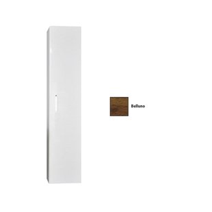 Kolomkast Sanicare Q6/Q14/Q16 1 Soft-Closing Deur 160x33,5x32 cm Belluno