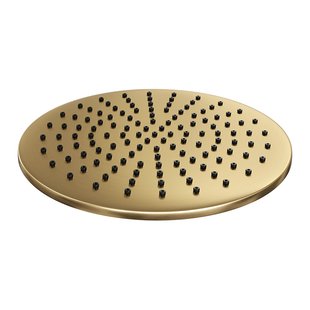 Regendouche Kop Brauer Gold Edition 30 cm Geborsteld Goud