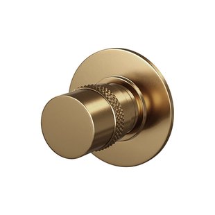 Stopkraan Brauer Gold Edition met Ronde Knop en Ronde Rozet Geborsteld Goud