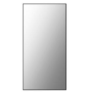 Spiegel Basic Plieger Sanitair 60x30cm Rechthoekig