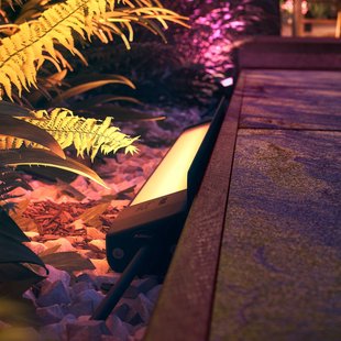 Philips Hue WACA Appear buitenwandlamp roestvrij staal