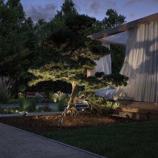 Paulmann Plug & Shine LED prikspot Radix