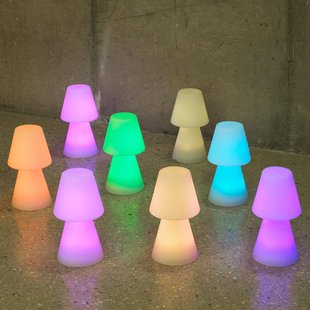 Newgarden Lola 30 LED tafellamp met oplaadbare batterij