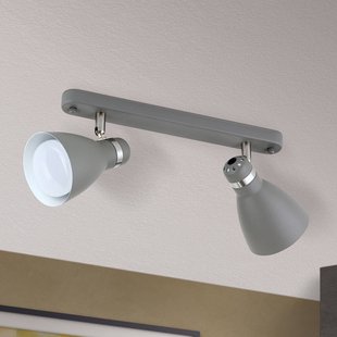 ORION Plafondspot School, 2-lamps, grijs ORION Plafondspot School, 2-lamps, grijs