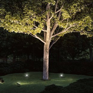 Paulmann Plug & Shine schijnwerper met spike 16W