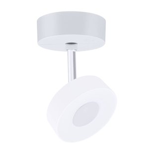 Paulmann URail enkele-spot-invoer mat wit Paulmann URail enkele-spot-invoer mat wit