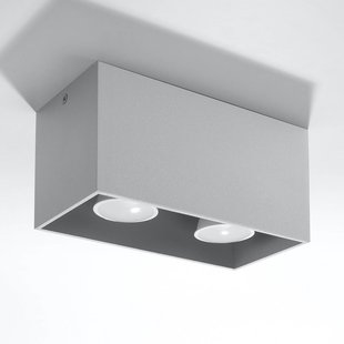 Euluna Plafondlamp Ara Maxi van aluminium 2-lamps grijs