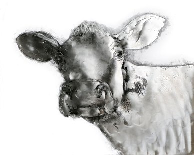 Decoratief wandobject Koe 80cm x 100cm | Decorationable