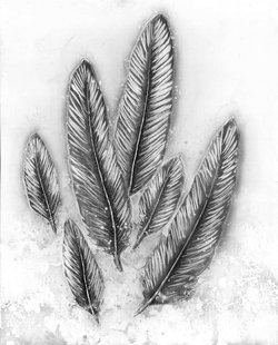 Decoratief wandobject Feder 80cm x 100cm | Decorationable