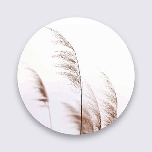 Wanddecoratie Organic | Wandkraft Wanddecoratie Organic | Wandkraft