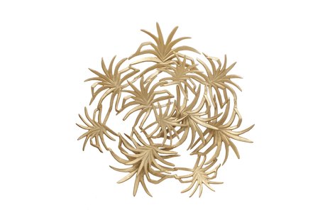 Wanddecoratie Domizil | Underbar