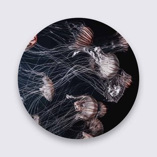 Wanddecoratie Dark Jellyfish | Wandkraft Wanddecoratie Dark Jellyfish | Wandkraft