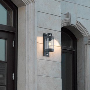 Trio Lighting Buitenwandlamp Sambesi, bewegingssensor, antraciet