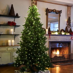 Sirius Anni LED boom met standaard, hoogte 180 cm