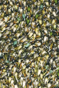 Brink en Campman - Spring 59107 - 140x200 cm Vloerkleed