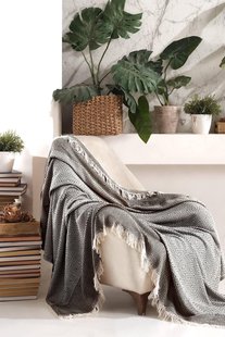 Plaid Will | L'Essentiel