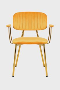 Set van 2 eetkamerstoelen Kian velvet | InStyle Look by Kayoom