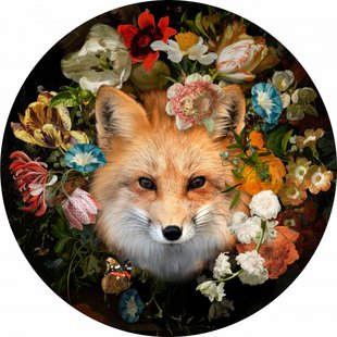 Wandcirkel Vos 80 cm