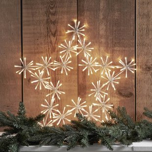 STAR TRADING LED sfeerlamp Flower Star voor buiten