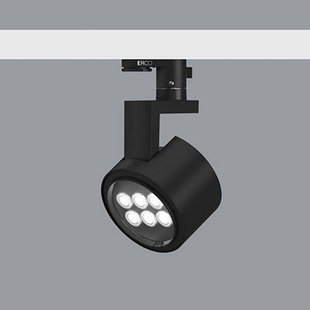 ERCO Parscan 230V spot 12W flood 940 zwart