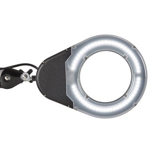 MAULviso LED loeplamp, zwart, hoogte 50 cm, klem