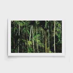 Poster Bamboo | Walljar Poster Bamboo | Walljar