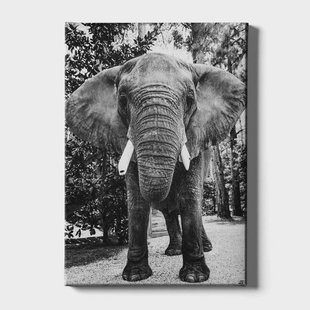 Canvas schilderij Afrikaanse Olifant | Walljar Canvas schilderij Afrikaanse Olifant | Walljar