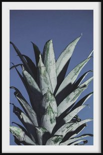 Ingelijste poster Ananas Bladeren | Walljar Ingelijste poster Ananas Bladeren | Walljar