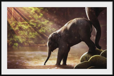 Ingelijste poster Baby Olifant | Walljar Ingelijste poster Baby Olifant | Walljar