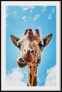 Ingelijste poster Crazy Giraffe | Walljar Ingelijste poster Crazy Giraffe | Walljar